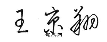 骆恒光王京翔草书个性签名怎么写