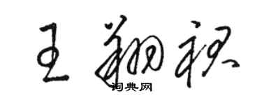 骆恒光王翔裙草书个性签名怎么写