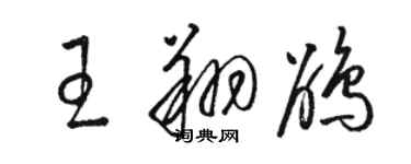 骆恒光王翔鹃草书个性签名怎么写