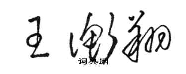 骆恒光王衡翔草书个性签名怎么写
