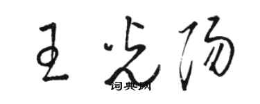 骆恒光王光阳草书个性签名怎么写