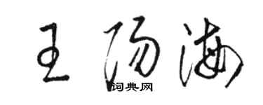 骆恒光王阳海草书个性签名怎么写