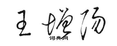 骆恒光王增阳草书个性签名怎么写