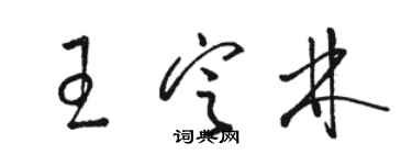 骆恒光王定林草书个性签名怎么写