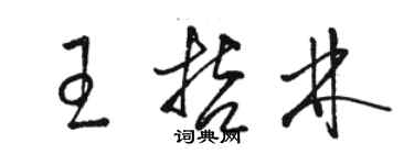 骆恒光王哲林草书个性签名怎么写
