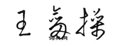 骆恒光王剑操草书个性签名怎么写