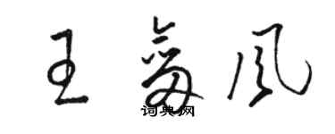 骆恒光王剑风草书个性签名怎么写