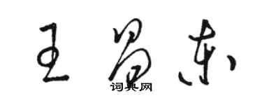 骆恒光王昌东草书个性签名怎么写