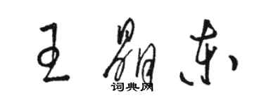 骆恒光王晶东草书个性签名怎么写
