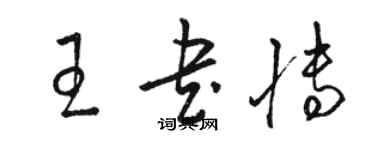 骆恒光王书博草书个性签名怎么写