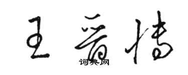 骆恒光王晋博草书个性签名怎么写