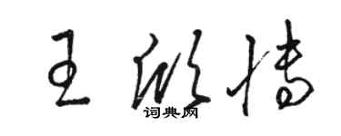 骆恒光王欣博草书个性签名怎么写
