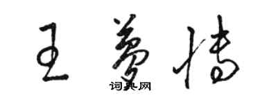 骆恒光王梦博草书个性签名怎么写