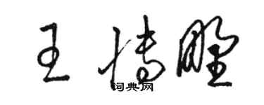 骆恒光王博野草书个性签名怎么写