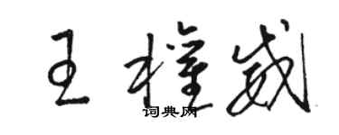 骆恒光王权威草书个性签名怎么写