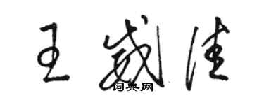 骆恒光王威佳草书个性签名怎么写