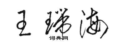 骆恒光王瑞海草书个性签名怎么写