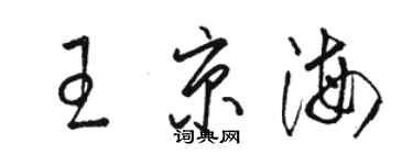 骆恒光王京海草书个性签名怎么写