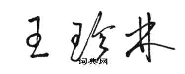 骆恒光王珍林草书个性签名怎么写