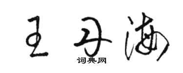 骆恒光王丹海草书个性签名怎么写