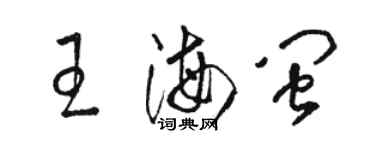 骆恒光王海闽草书个性签名怎么写