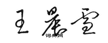 骆恒光王晨雪草书个性签名怎么写