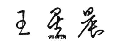 骆恒光王星晨草书个性签名怎么写