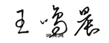骆恒光王鸣晨草书个性签名怎么写