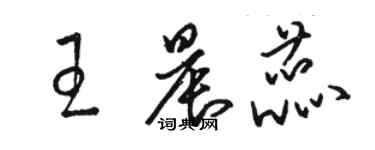 骆恒光王晨蕊草书个性签名怎么写