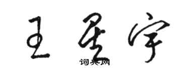 骆恒光王星宇草书个性签名怎么写