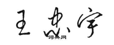 骆恒光王忠宇草书个性签名怎么写