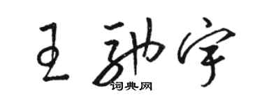 骆恒光王驰宇草书个性签名怎么写