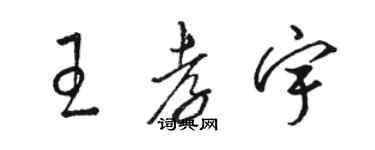 骆恒光王孝宇草书个性签名怎么写