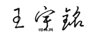 骆恒光王宇铭草书个性签名怎么写