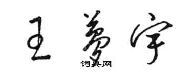 骆恒光王梦宇草书个性签名怎么写