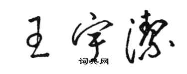 骆恒光王宇洁草书个性签名怎么写