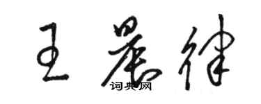 骆恒光王晨律草书个性签名怎么写