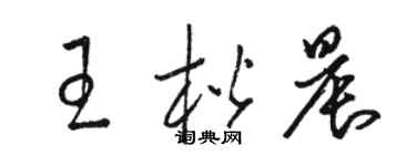骆恒光王楷晨草书个性签名怎么写