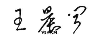 骆恒光王晨闻草书个性签名怎么写