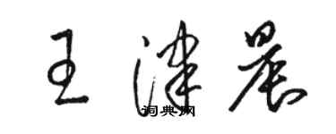骆恒光王津晨草书个性签名怎么写