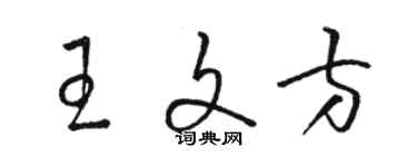 骆恒光王文方草书个性签名怎么写
