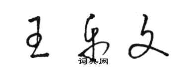 骆恒光王乐文草书个性签名怎么写