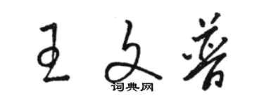 骆恒光王文普草书个性签名怎么写