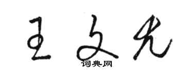 骆恒光王文尤草书个性签名怎么写