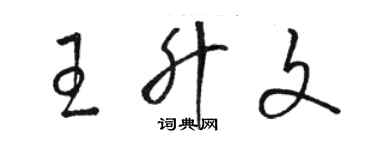 骆恒光王升文草书个性签名怎么写