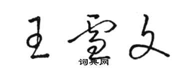 骆恒光王雪文草书个性签名怎么写