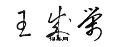 骆恒光王成荣草书个性签名怎么写