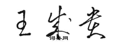 骆恒光王成贵草书个性签名怎么写