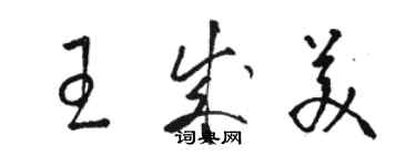骆恒光王成美草书个性签名怎么写