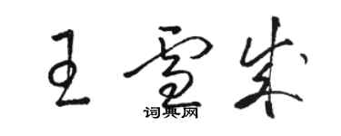 骆恒光王雪成草书个性签名怎么写